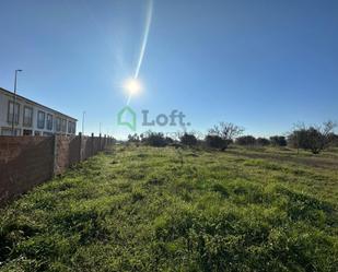 Residencial en venda en La Albuera