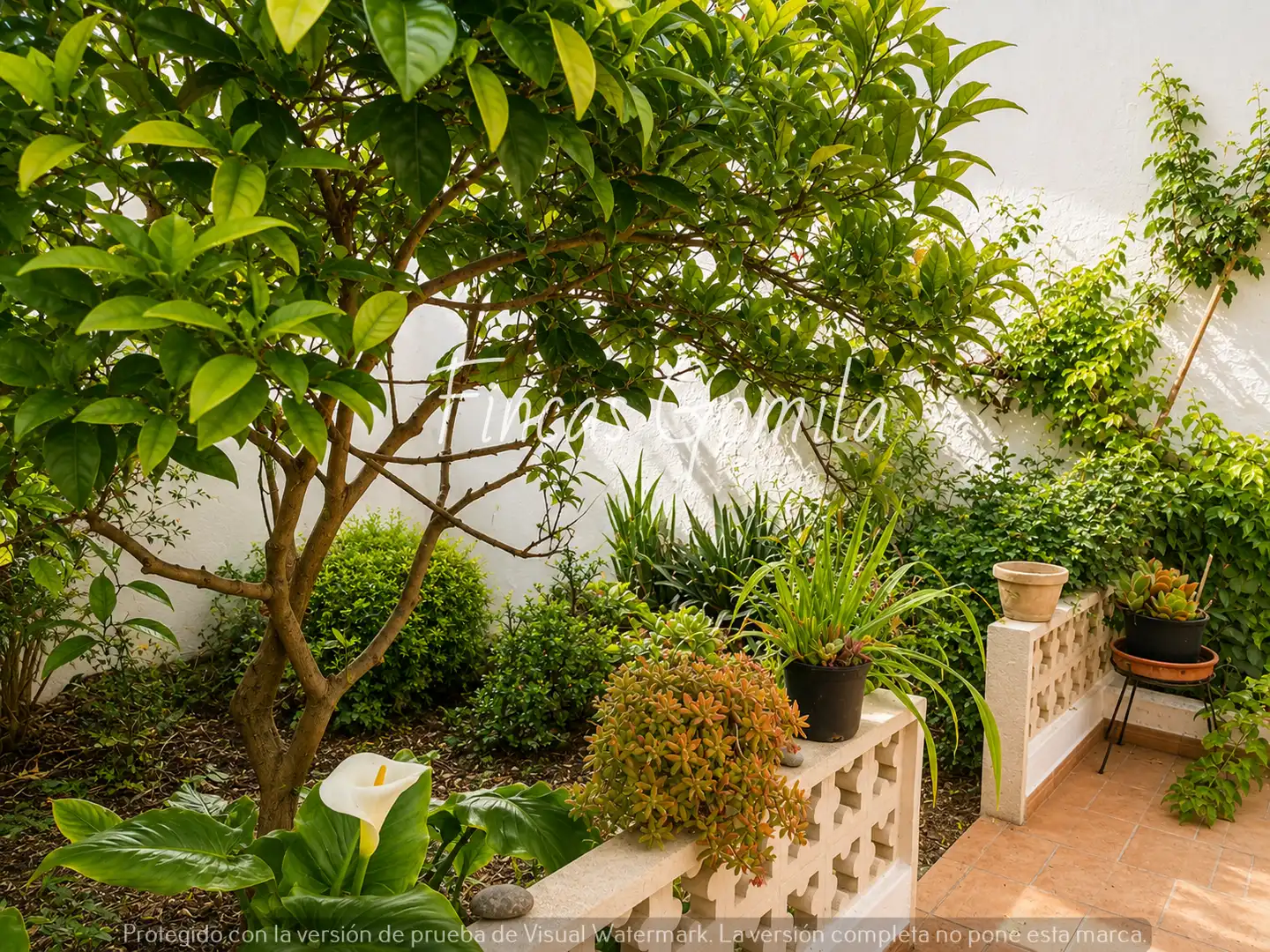 Jardí de Casa o xalet en venda en Maó - Mahón