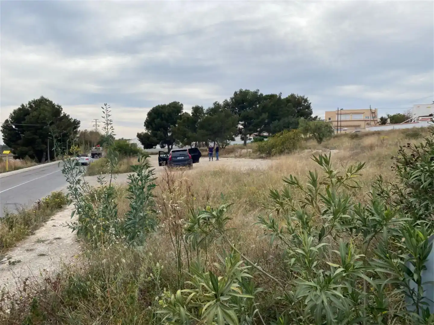 Terreno en venta en Escandinavia - Cautivador