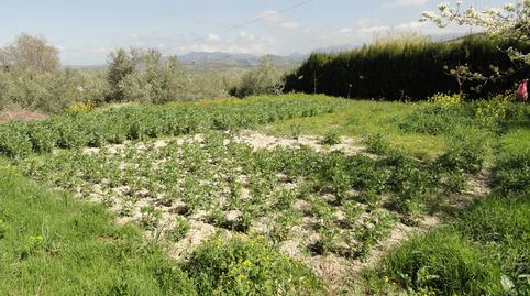 Foto 3 de Terreno en venta en La Iruela, Jaén