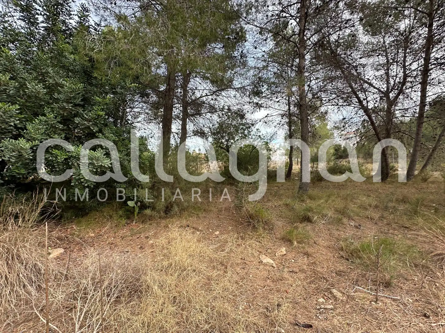 Terreny residencial en venda a Calle ESPARVER, imagen 7