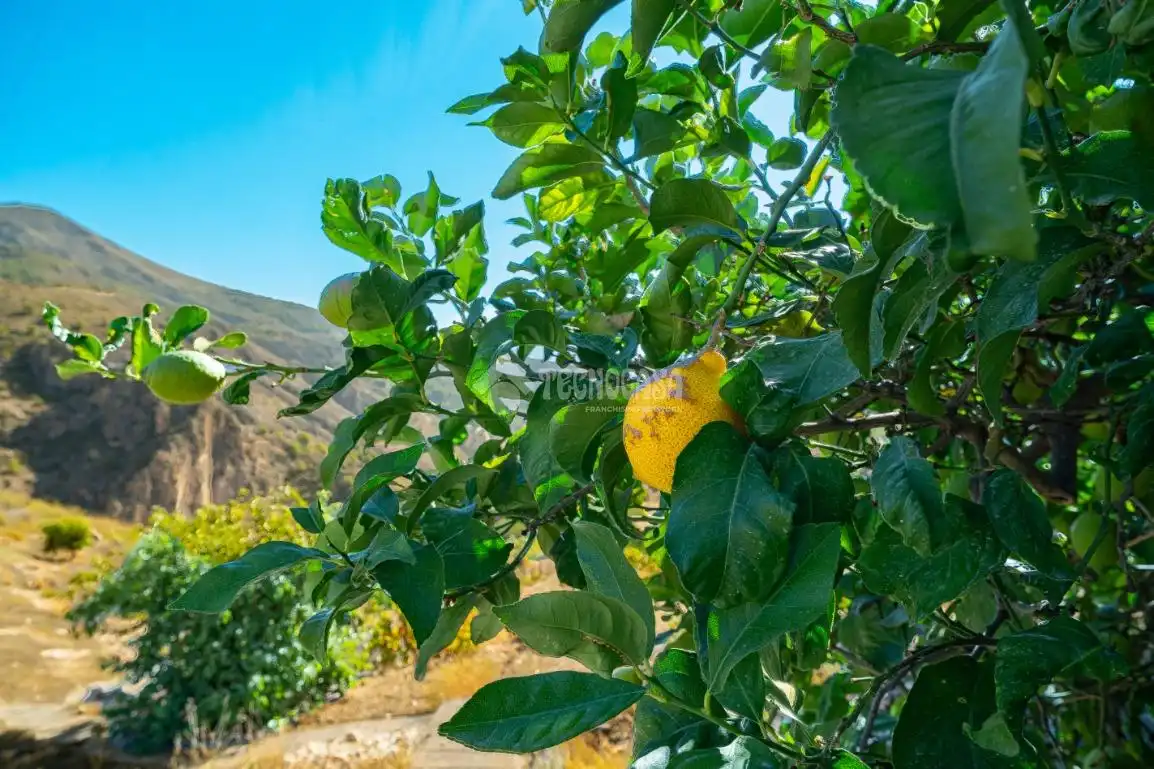 Finca rústica en venda en Los Guájares