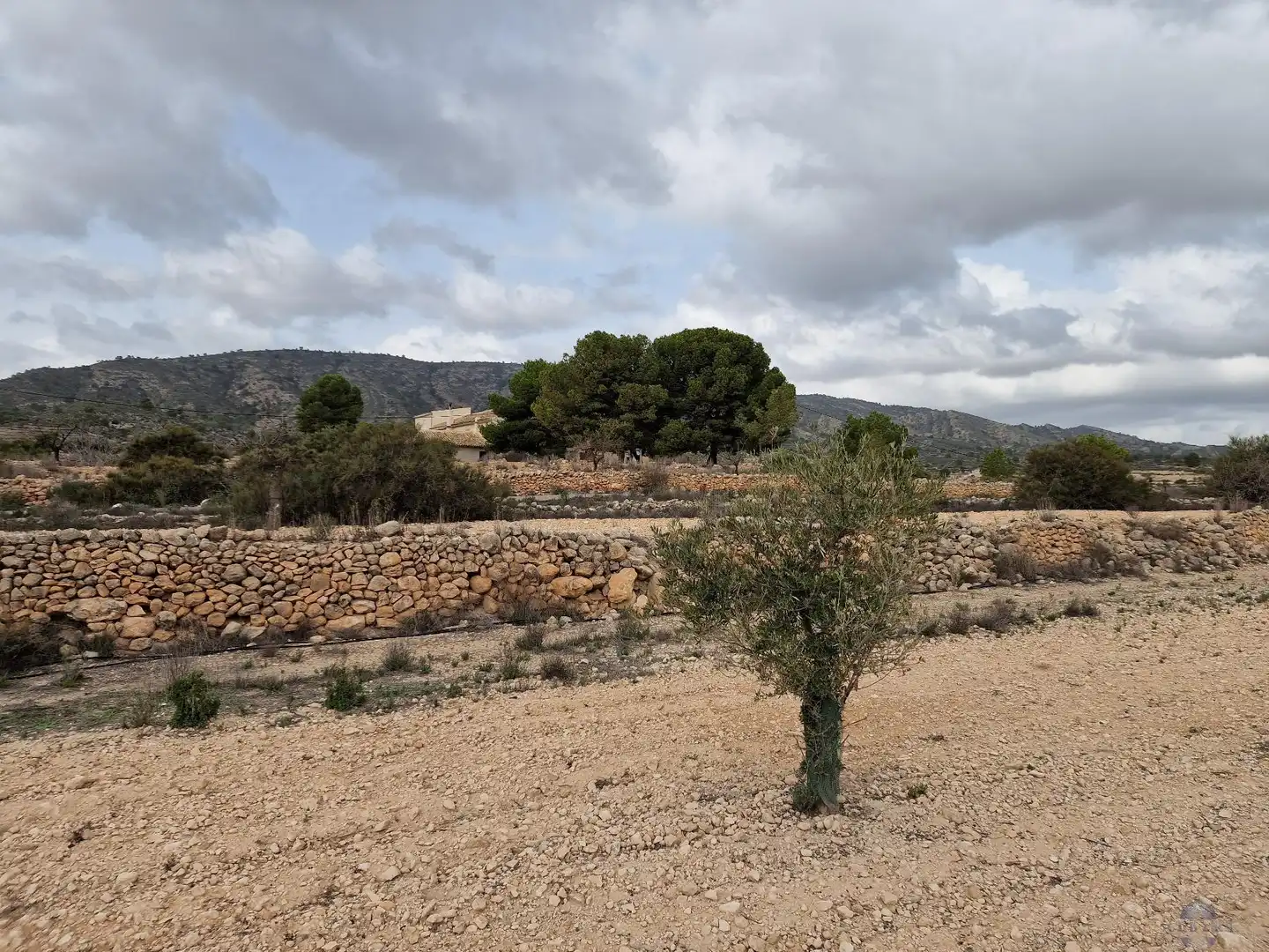 Villa in vendita a Monóvar  / Monòver, imagen 24
