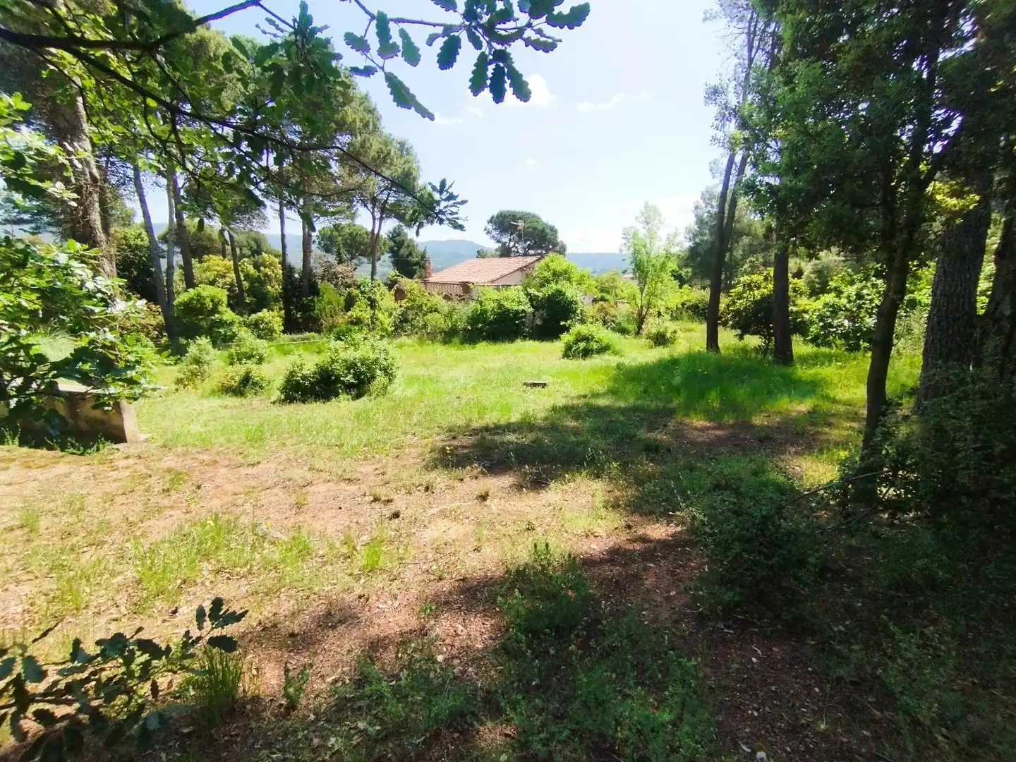 Residential land for sale in Calle COVA SIMANYA, imagen 6