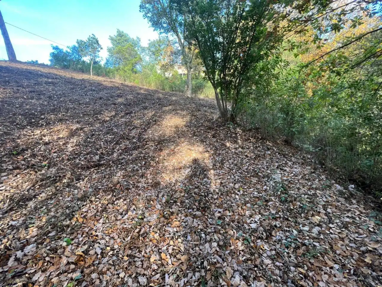 Terreno rustico in vendita a Calle Riells I Viabrea, imagen 10