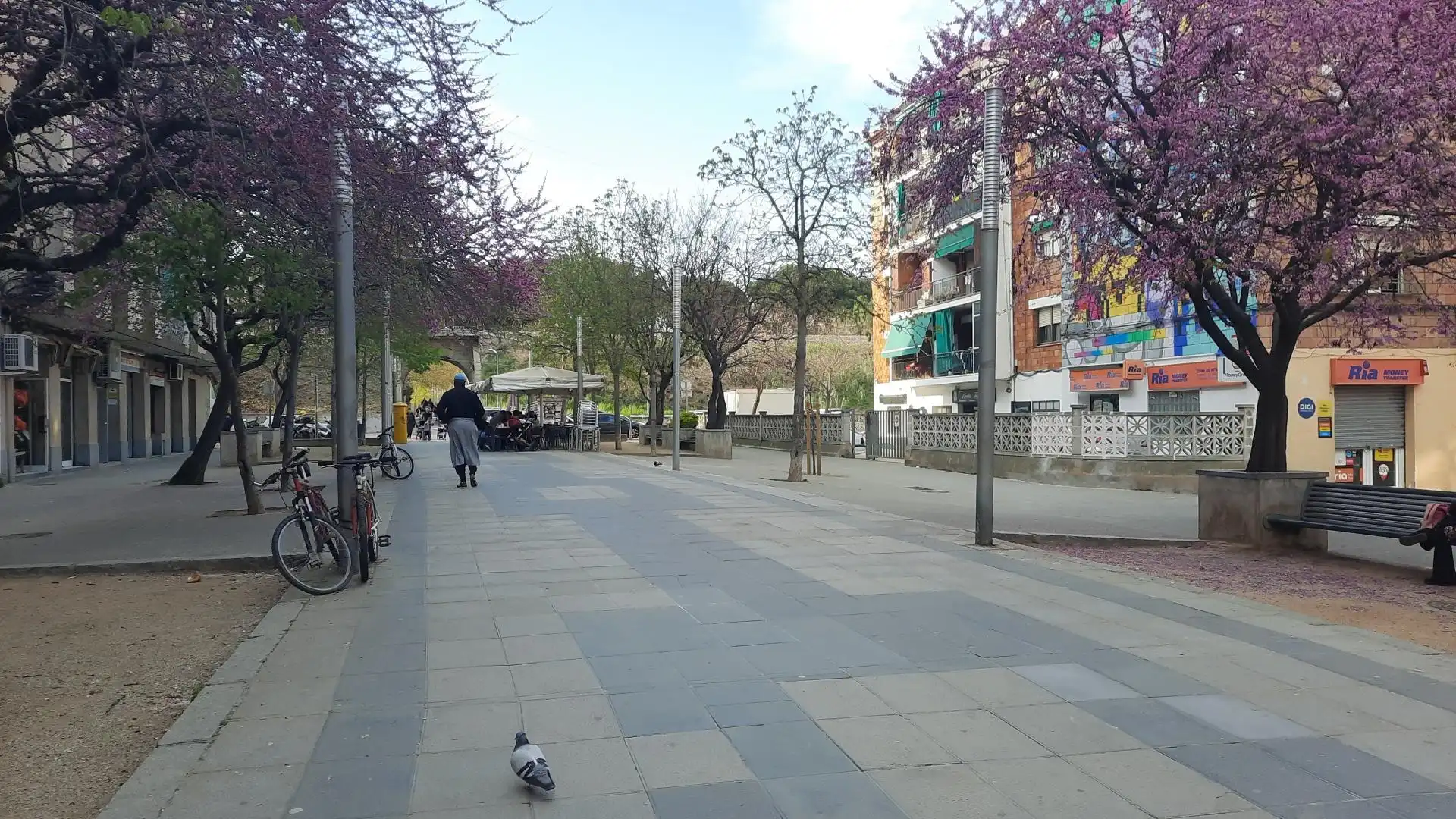 Gewerbefläche zum Verkauf in Can Borrell, imagen 15