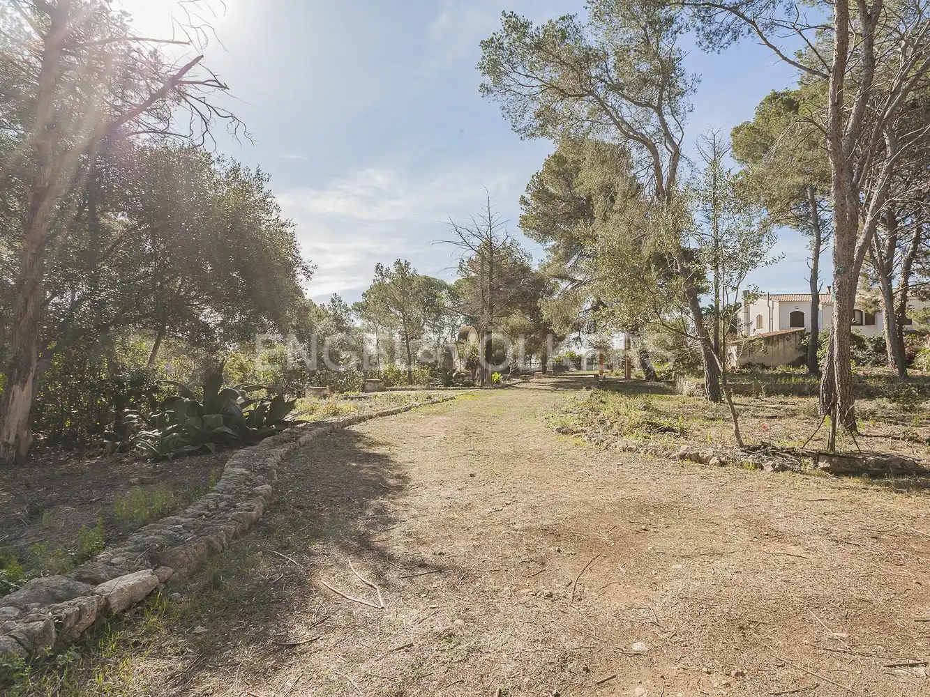 Maison à vendre à Passatge dels pins, imagen 9