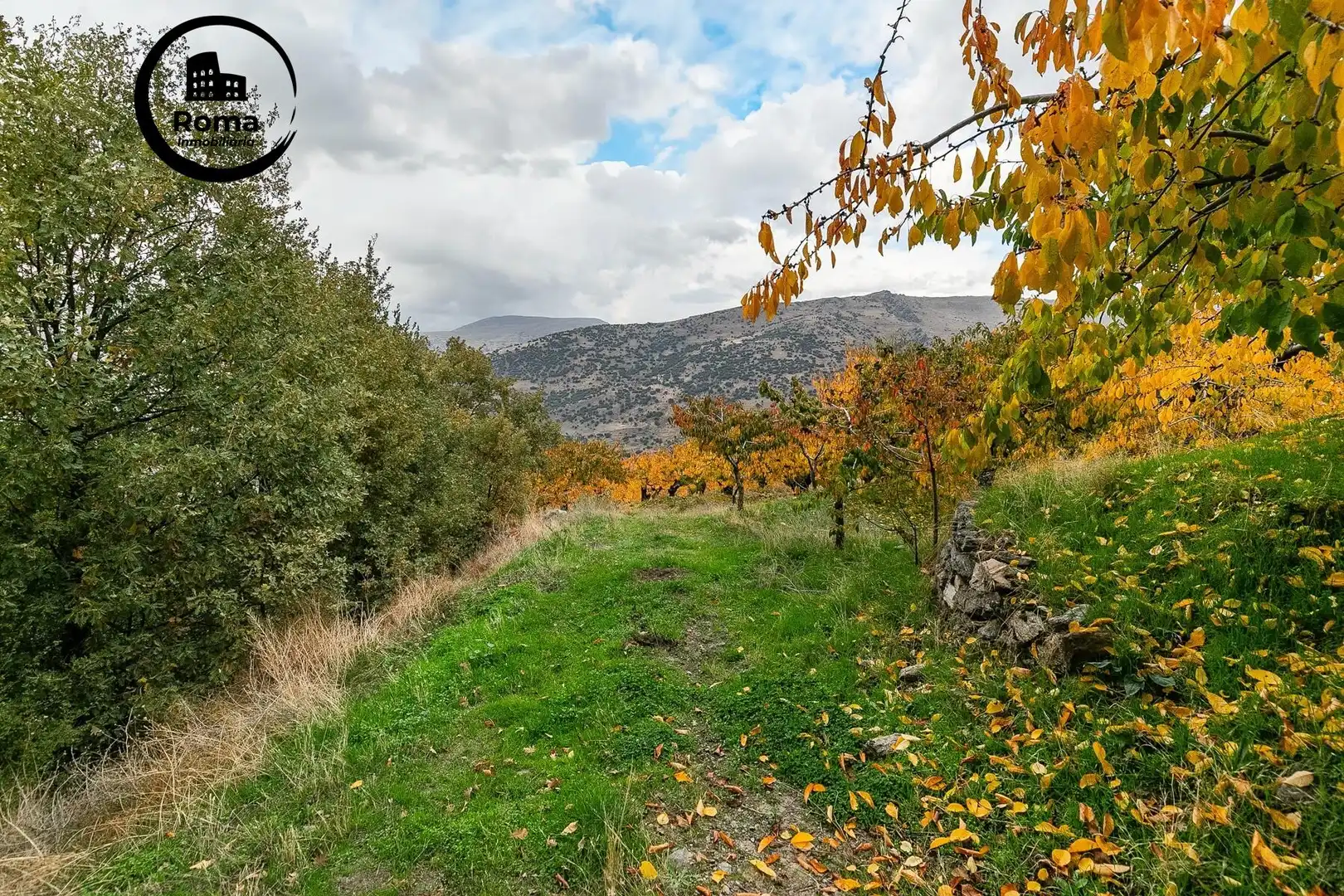 Lands and plots for sale in Güéjar Sierra, imagen 10