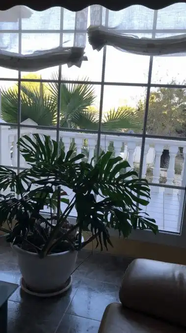 Maison rustique avec piscine à vendre à Vereda Vereda Los Gabanes, imagen 49