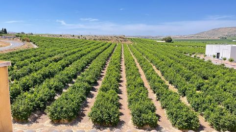 Foto 3 de Apartamento en venta en N/a, -1, Algorfa, Alicante