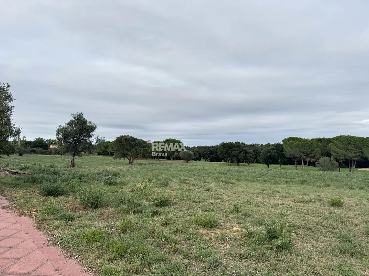 Lands and plots for sale in Calle CL FELIP L ARDIT, imagen 17
