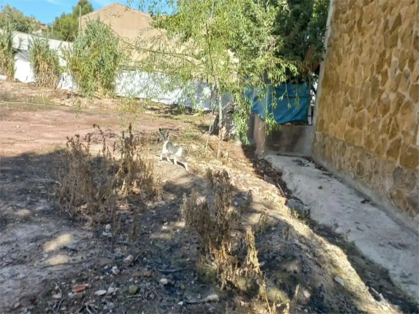 Finca rústica en venda en Villapalacios