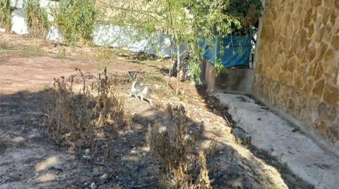 Foto 3 de Finca rústica en venda a Calle Camino del Rio, 3, Villapalacios, Albacete