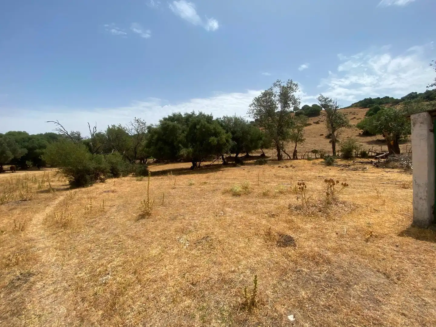 Terreni e lotti in vendita a Alcalá de los Gazules, imagen 65