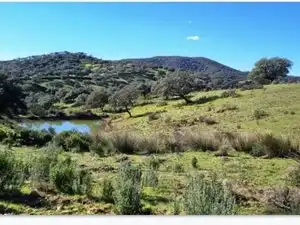 Vista exterior de Terreno en venta en Zufre