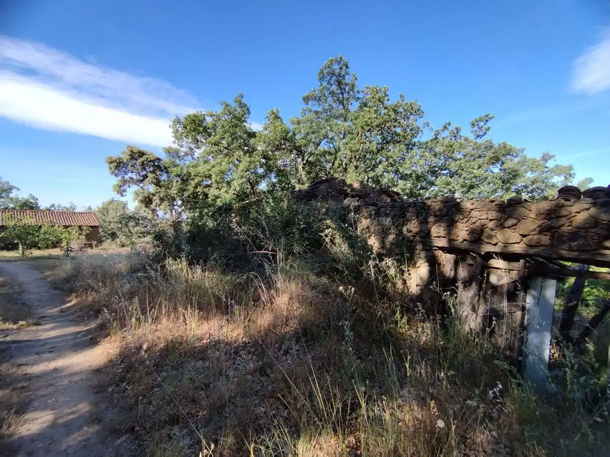 Terreni e lotti in vendita a Jarandilla de la Vera, imagen 7