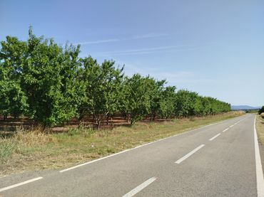 Rural land for sale in T-722 5