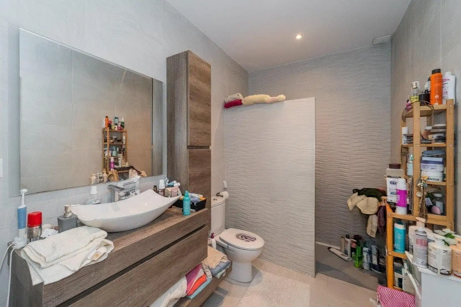 Baño de Casa o chalet en venta en Olías del Rey con Aire acondicionado, Calefacción y Jardín privado