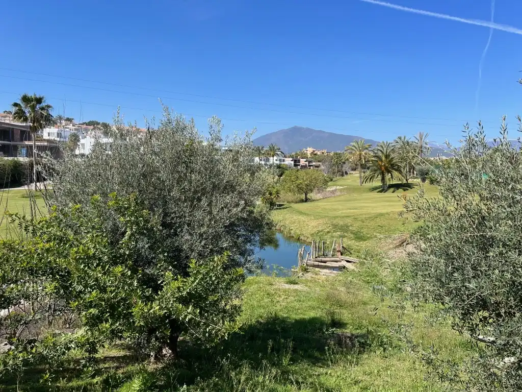 Xalet amb piscina en venda a Estepona Pueblo, imagen 14