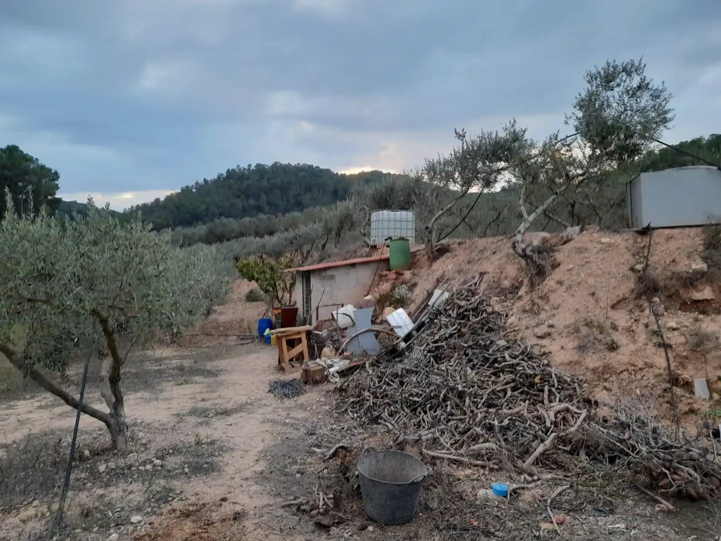 Terreny rústic en venda a Miravet, imagen 18