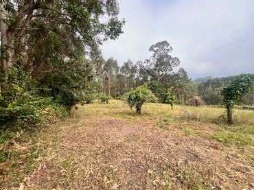 Country house for sale in Quintes - Arroes