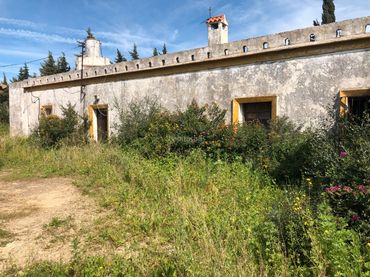 Terreno rustico in vendita a Carretera de Barrio Nuevo 368A