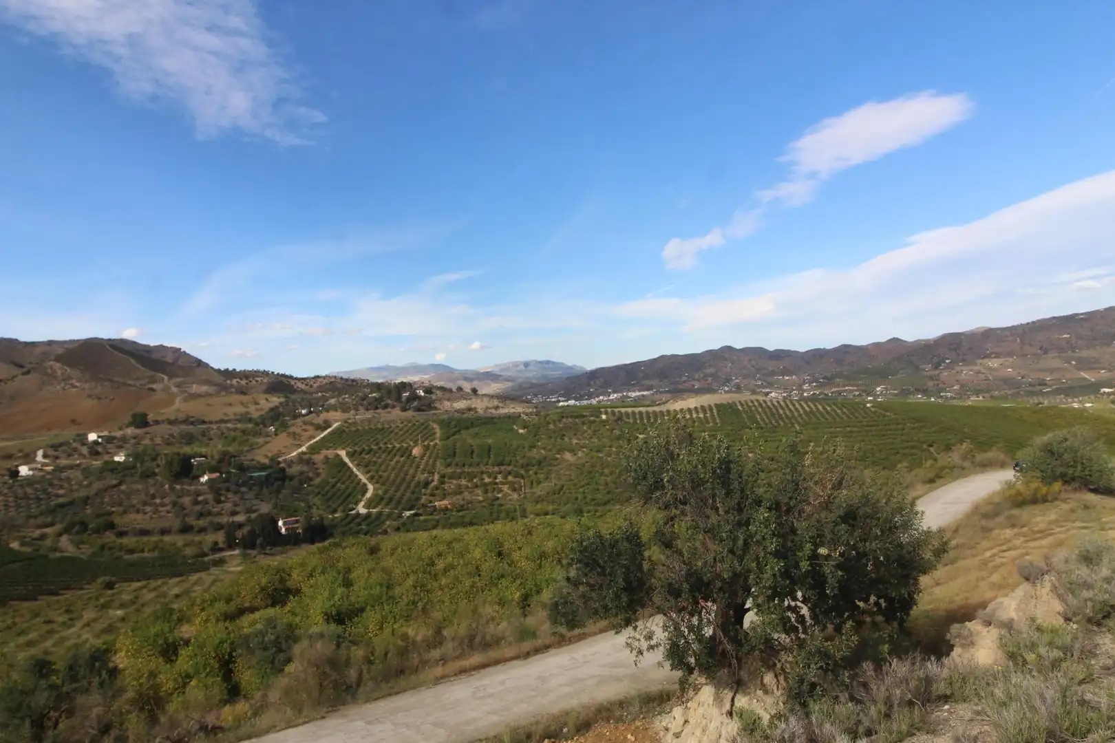 Rural land for sale in Diseminado Poligono 15, imagen 10