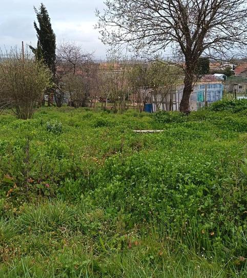 Foto 2 von Grundstücke zur Miete in Calle el Villar, Lugones, Siero