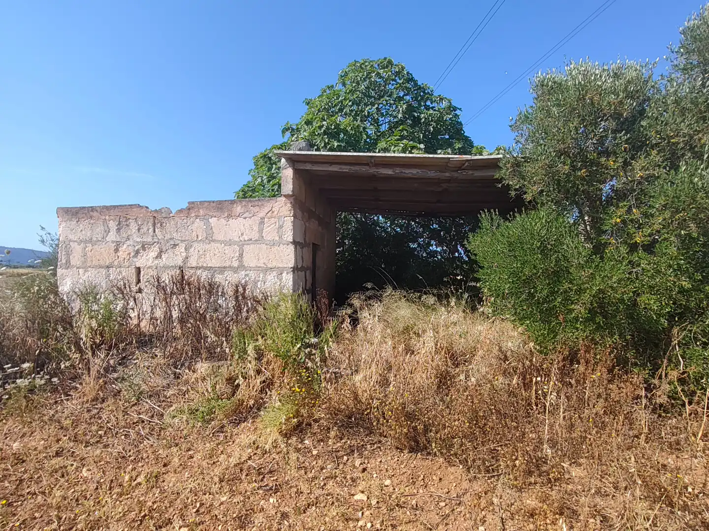 Terreno rustico in vendita a Cami de Son Mieres, imagen 5
