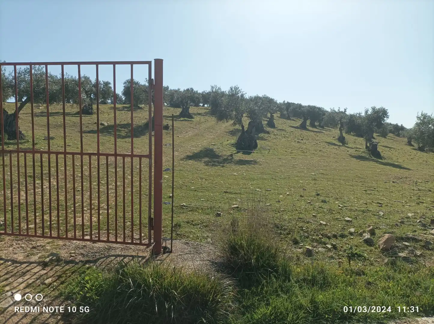 Terreni e lotti in vendita a Zafra, imagen 4