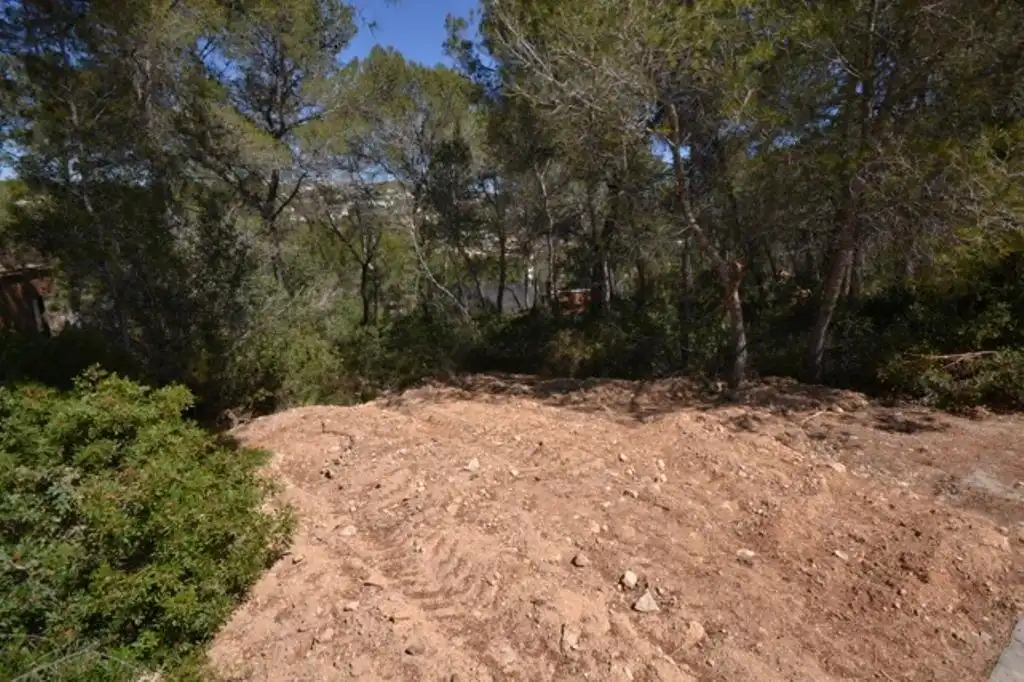 Rural land for sale in SATURN, imagen 3