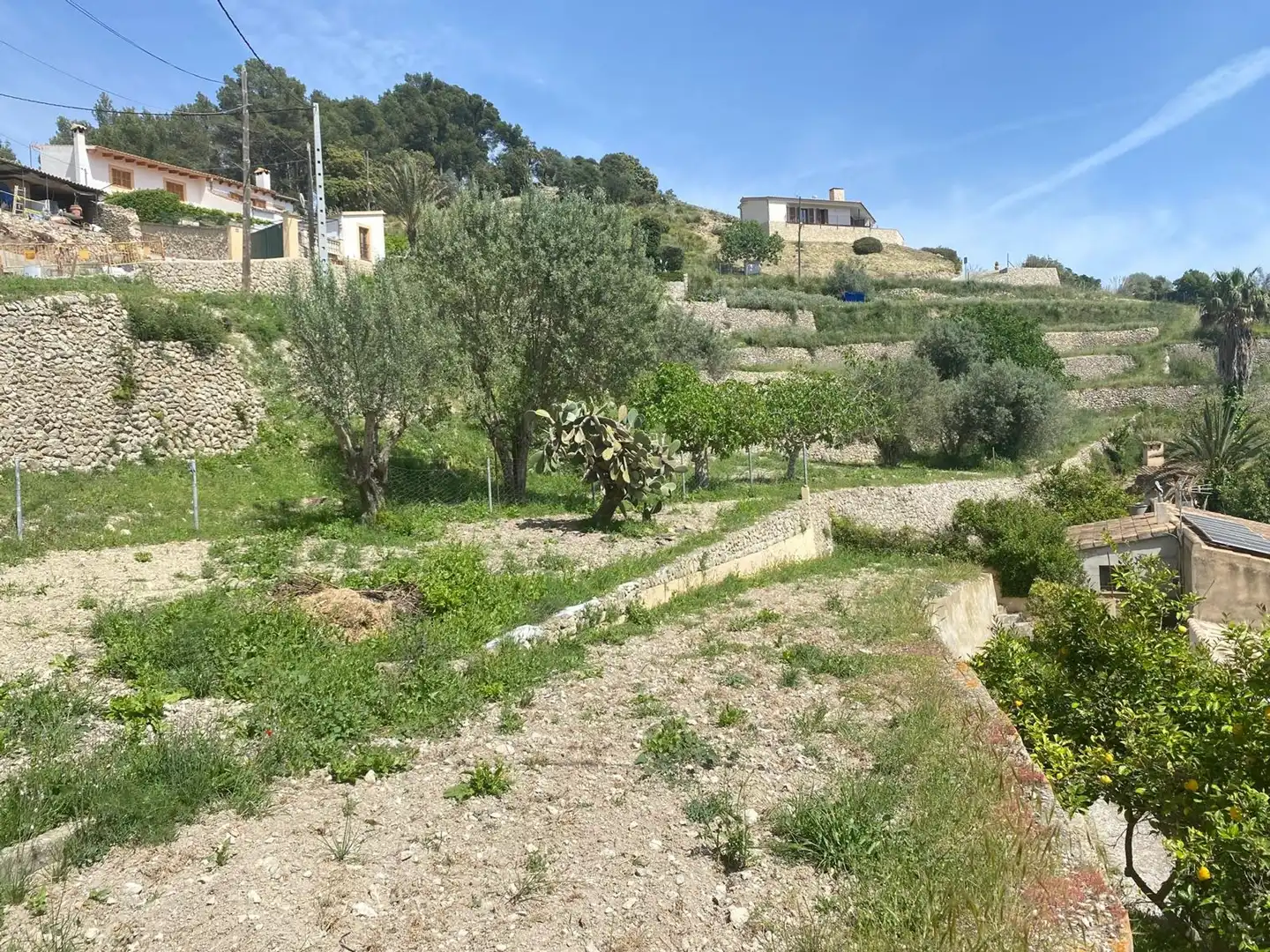 Wohnbaugrundstück zum Verkauf in Puigpunyent, imagen 10