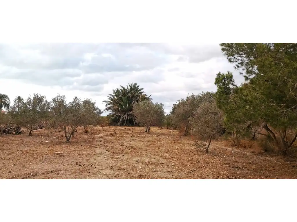 Terreno residencial en venta en La Marina, imagen 9