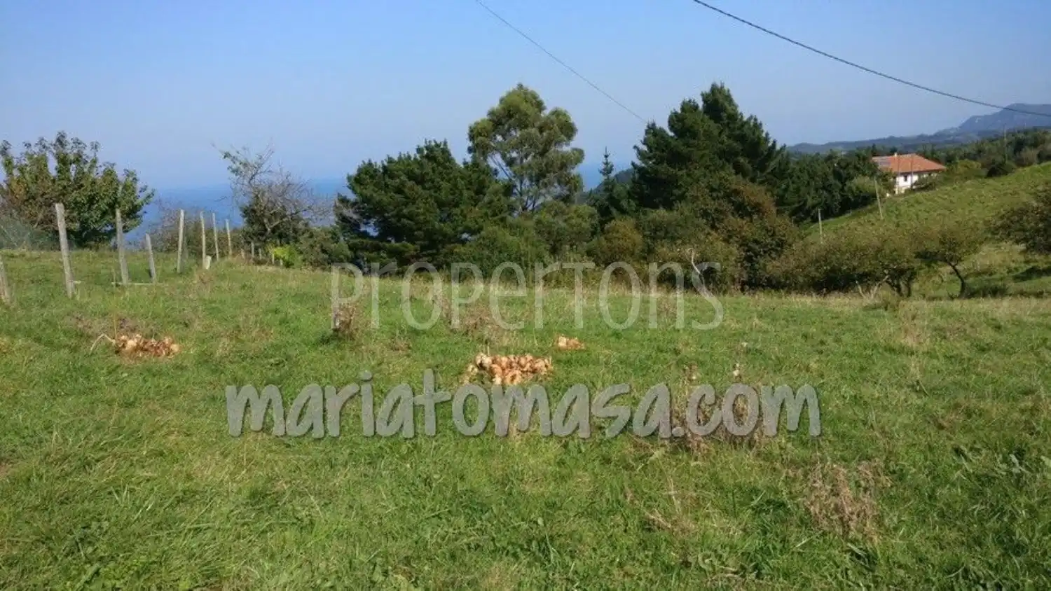 Residencial en venda en Ibarrangelu