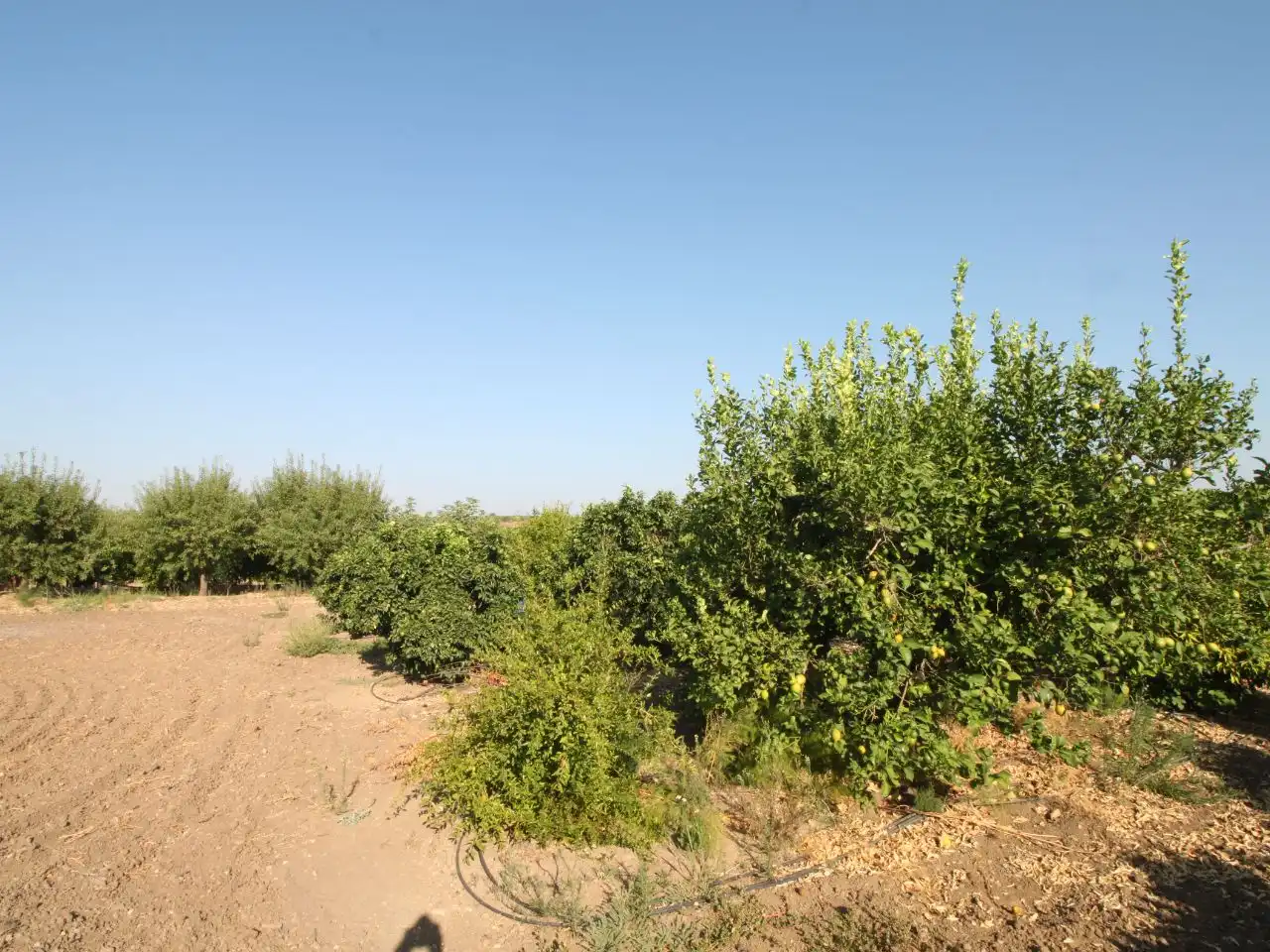 Terreno rustico in vendita a Calle Poniente 13, imagen 20