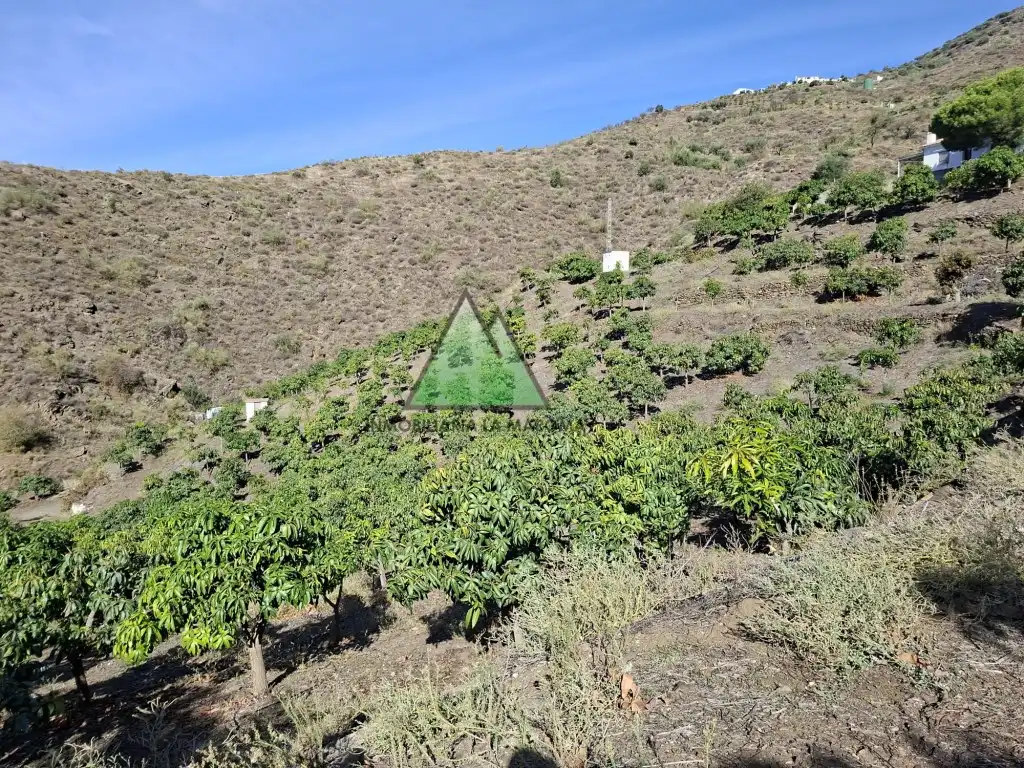 Casa o xalet en venda en Vélez-Málaga