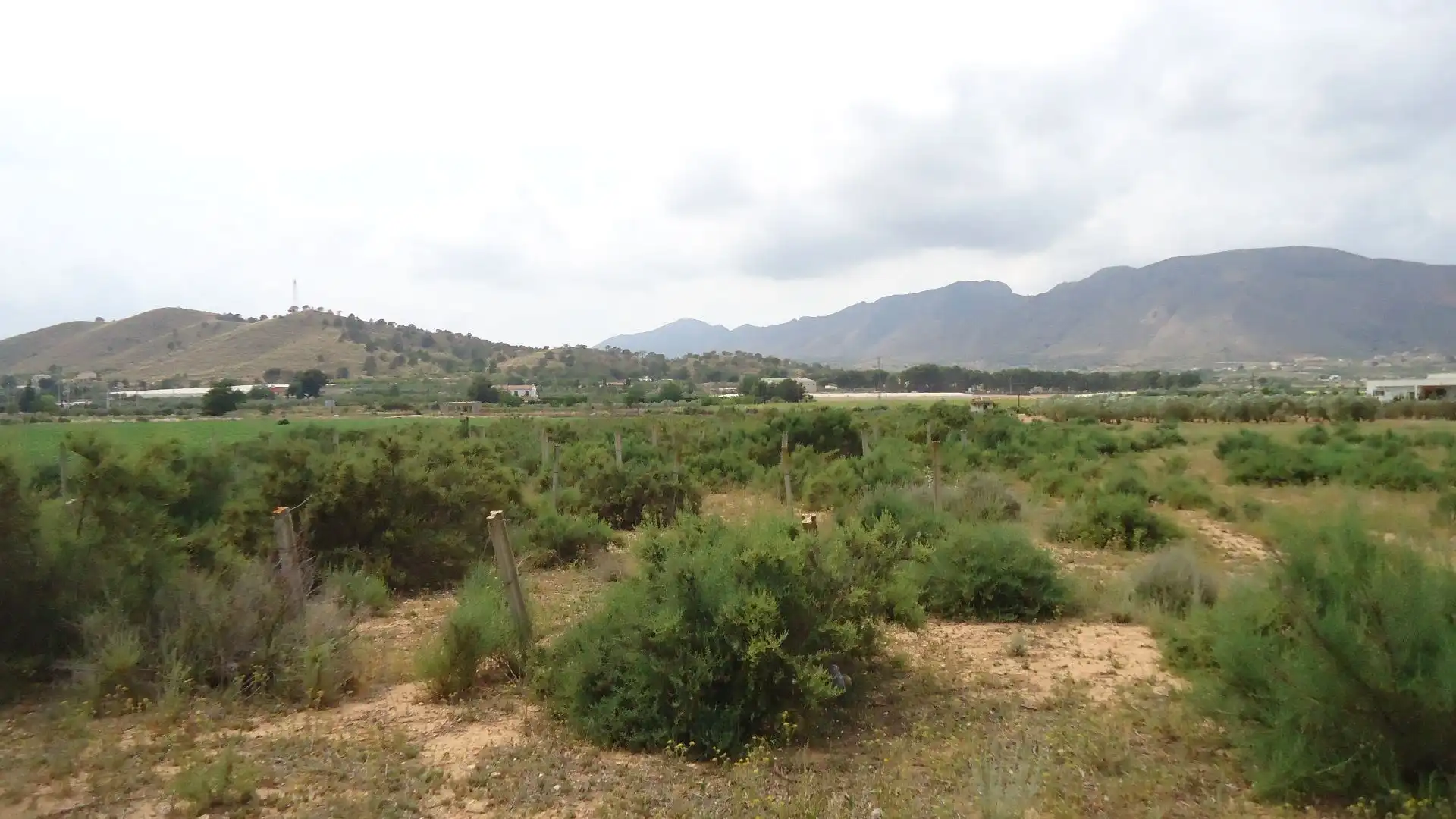 Terreno rustico in vendita a Hondón de las Nieves / El Fondó de les Neus, imagen 8