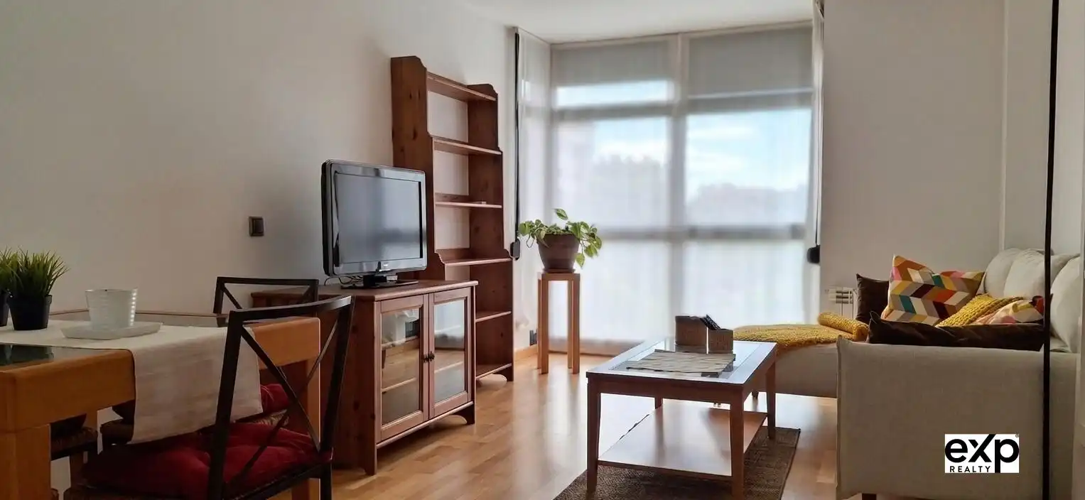 Living room of Apartments for rent in Madrid  with Air Conditioner, Heating and Private garden