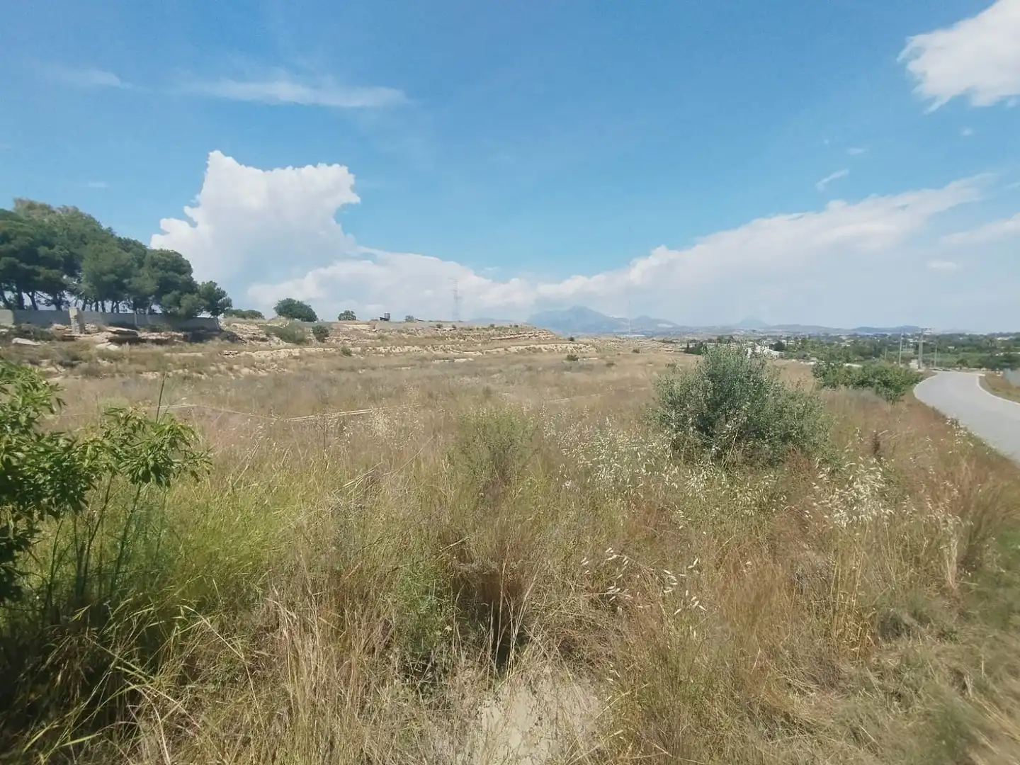 Terreno rústico en venta en Camí de la Esparraguera, imagen 4