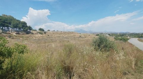 Terreno en Venta Mutxamel, imatge 4