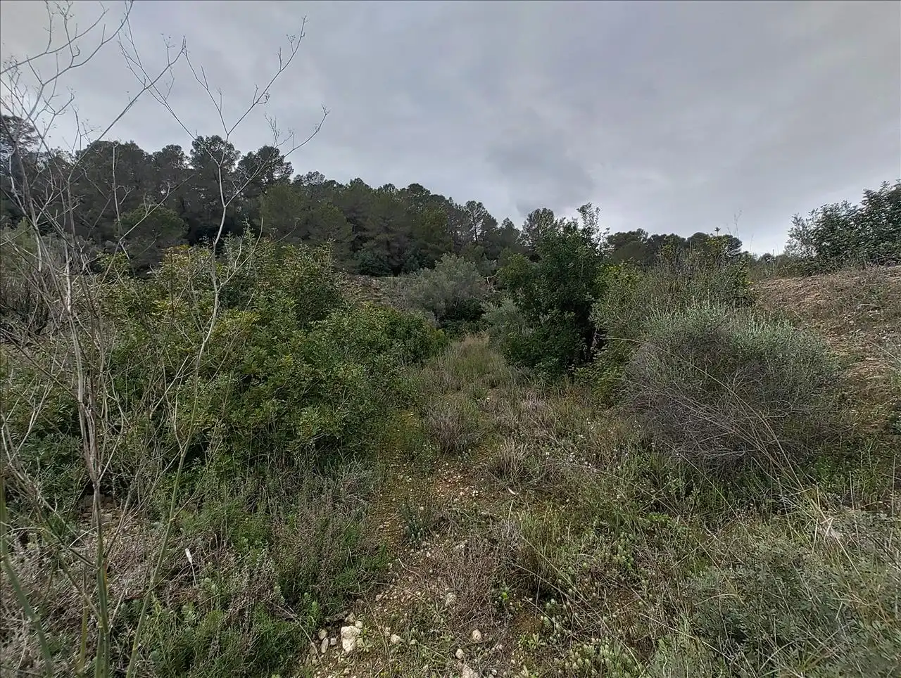 Terreno residencial en venta en Cantalars, Pol.9, Parc. 123(A,B,C Y D) Y Parcela 233. Barranco De Montell, imagen 13