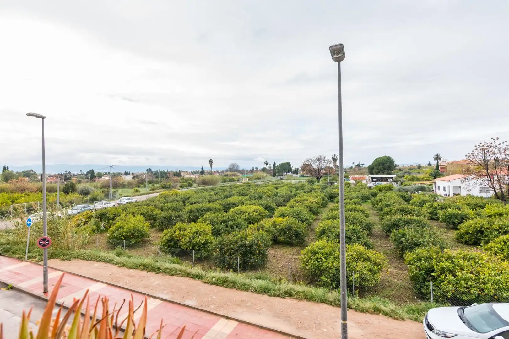 Piso con terraza en venta en Pedanías Oeste, imagen 34