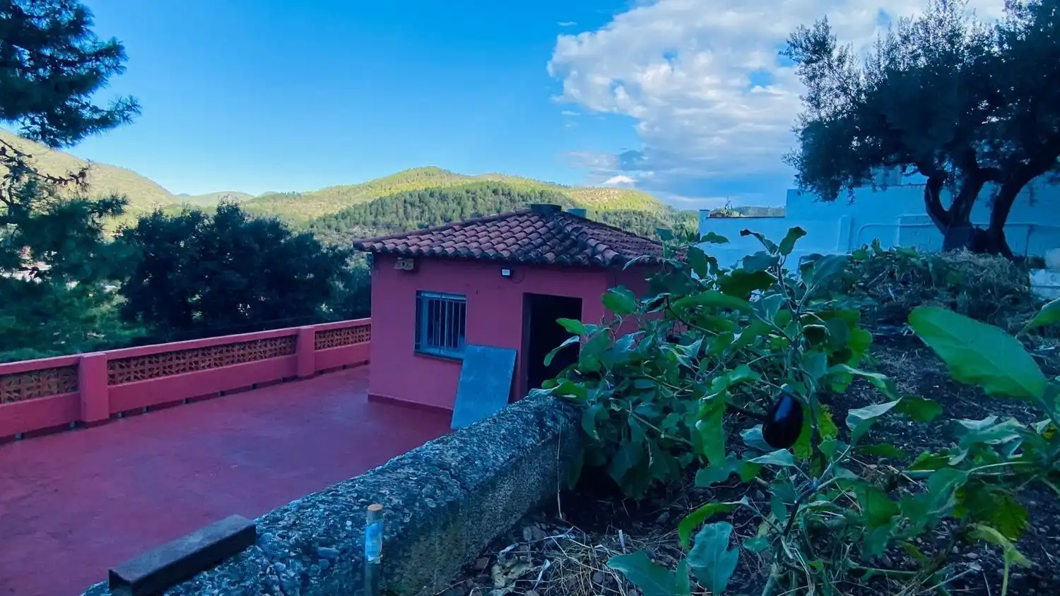 Vista exterior de Casa o chalet en venta en Eslida con Terraza y Trastero