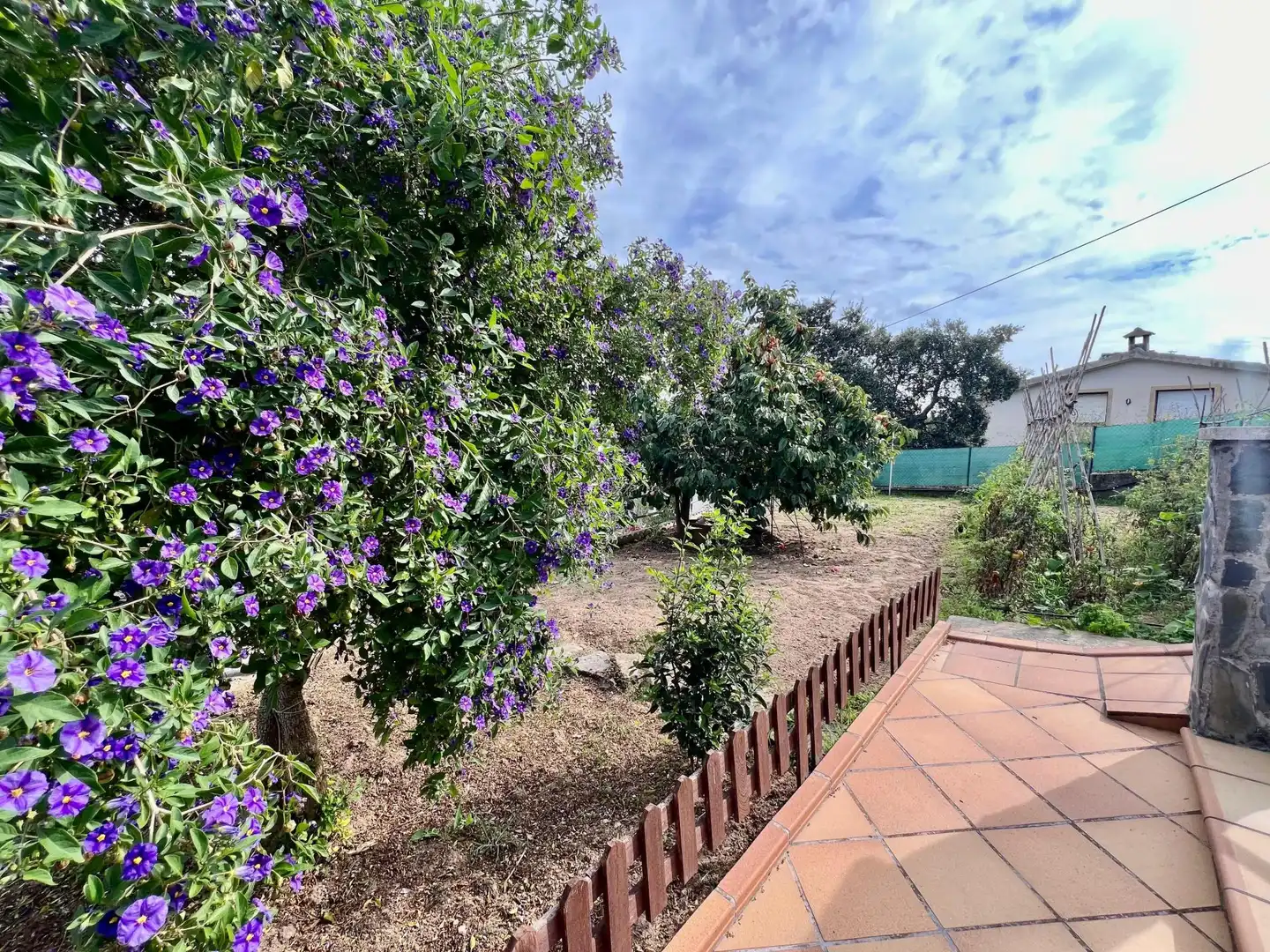 Jardí de Casa o xalet en venda en Riudarenes amb Aire condicionat, Terrassa i Piscina