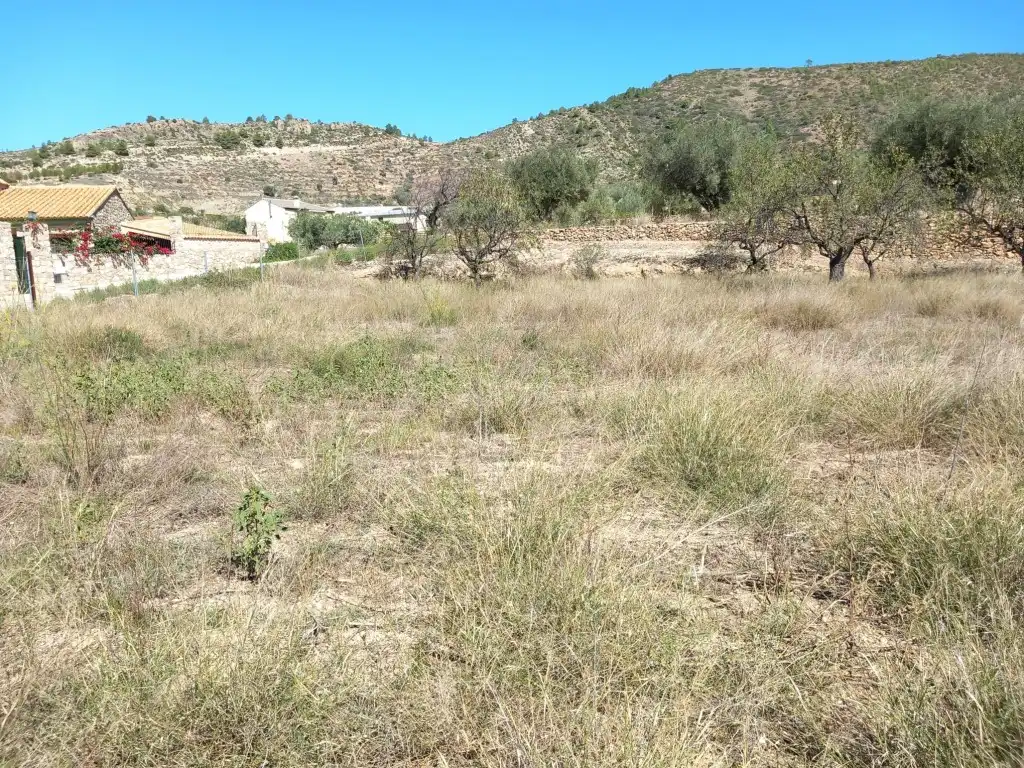 Terreno en venta en Tuéjar