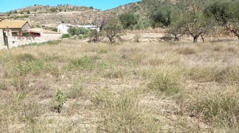 Foto 5 von Grundstücke zum Verkauf in Calle Maestro Serrano, 58, Tuéjar, Valencia