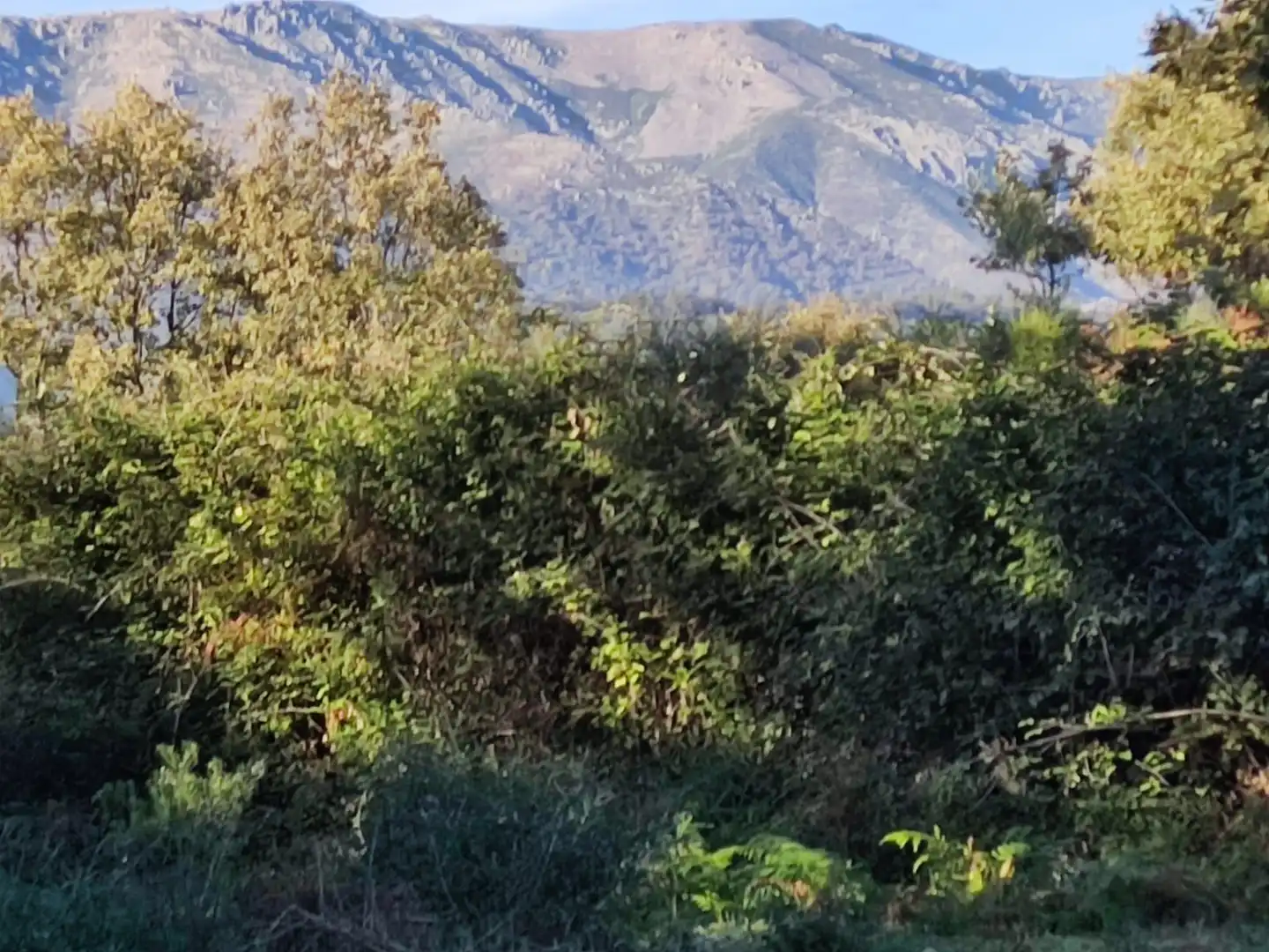 Terreni e lotti in vendita a Jarandilla de la Vera, imagen 41