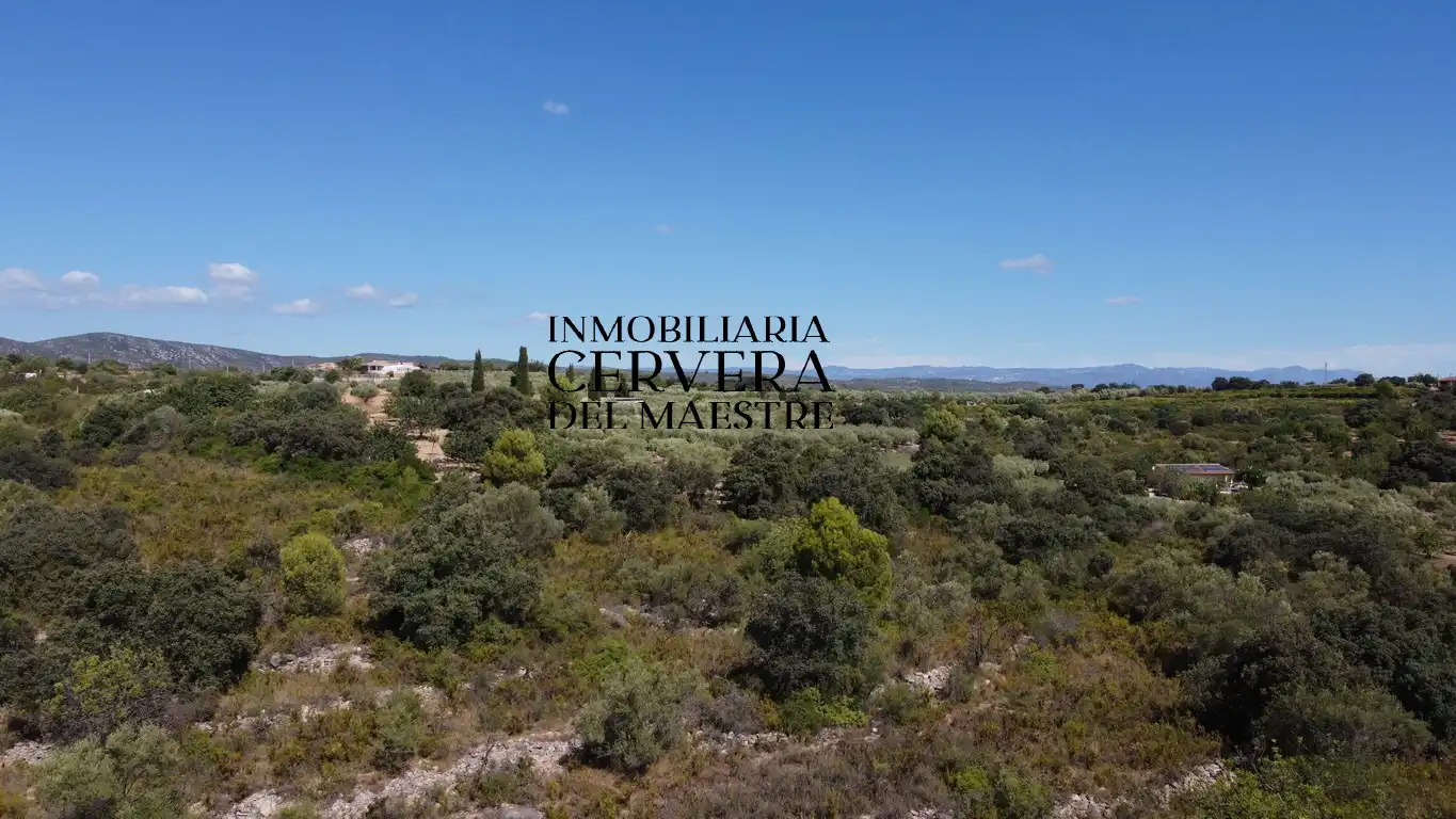 Terreno rustico in vendita a Cervera del Maestre, imagen 21