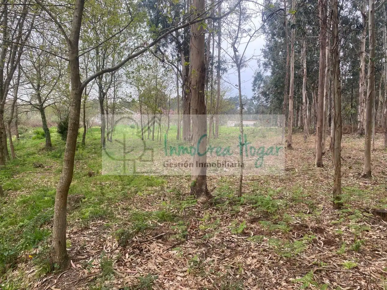 Lands and plots for sale in Salceda de Caselas, imagen 3