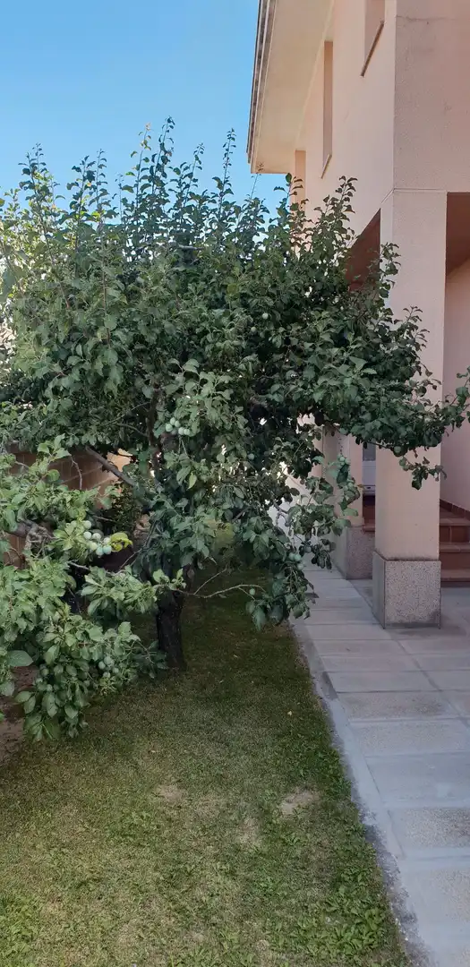 Haus oder Chalet zum Verkauf in Calvarrasa de Abajo, Salamanca